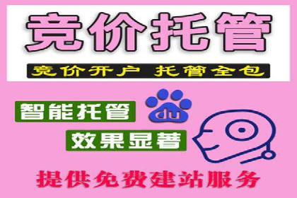 百度SEO推广案例：案例分析及优化方案